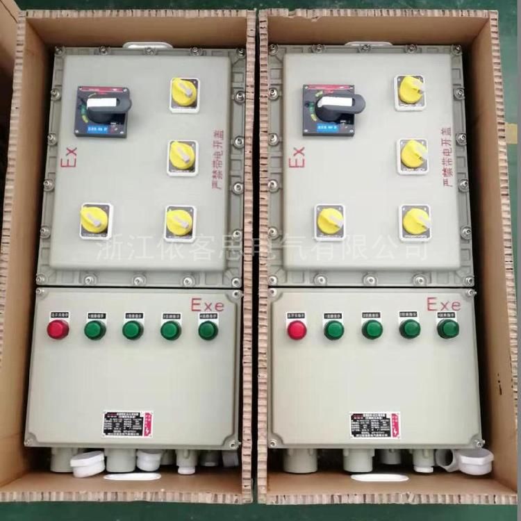 Outdoor explosion-proof lighting power distribution box vertical steel plate with frequency converter BXM