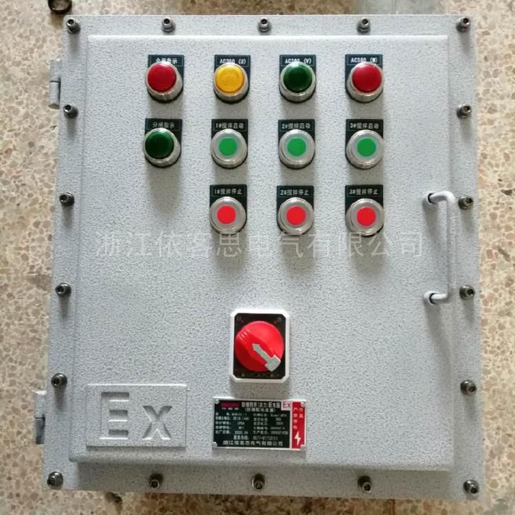 Outdoor explosion-proof lighting power distribution box vertical steel plate with frequency converter BXM