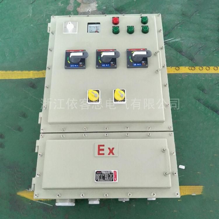 Outdoor explosion-proof lighting power distribution box vertical steel plate with frequency converter BXM
